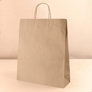 BOLSA AYSEN GRANDE