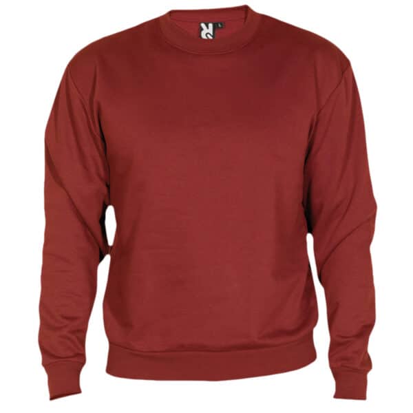 SUDADERA CLÁSICA - Imagen 29